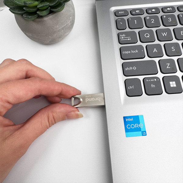 Фото - Флеш USB Wibrand 2.0 Taipan 32Gb Silver (WI2.0/TA32U2S)