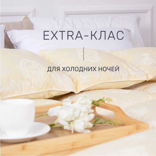 Фото - Одеяло зимнее двуспальное MirSon Пух Экстра 041 172x205 см (2200000002709)