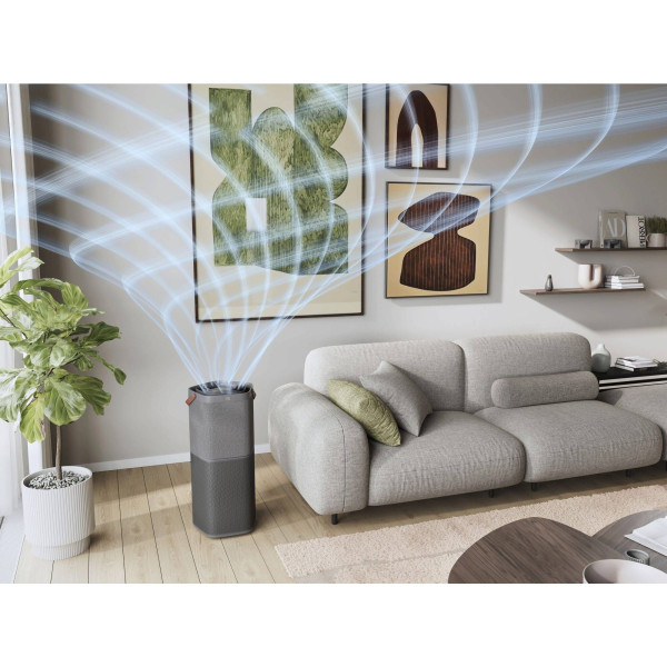 Фото - Очиститель воздуха Electrolux EPO60771DG