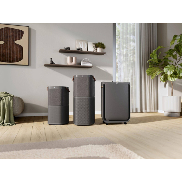 Фото - Очиститель воздуха Electrolux EPO60771DG