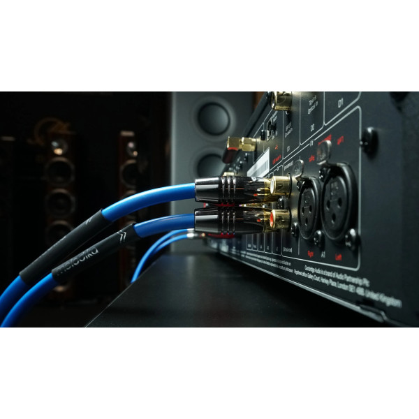 Фото - Кабель RCA Melodika 2xRCA - 2xRCA 1m (SB2R10)