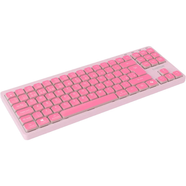 Фото - Клавиатура проводная Canyon OnType 10 TKL Mechanical Silent Low-profile Pink (CNS-HKB10P)