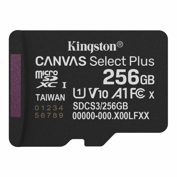 Фото - Карта памяти Kingston 256GB microSDXC Canvas Select Plus Gen3 (SDCS3/256GBSP)