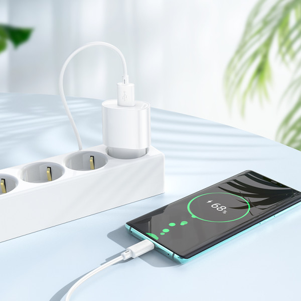 Фото - Сетевое зарядное устройство HOCO C109A(10.5W) Fighter single port charger set(Type-C) White (6942007656610)