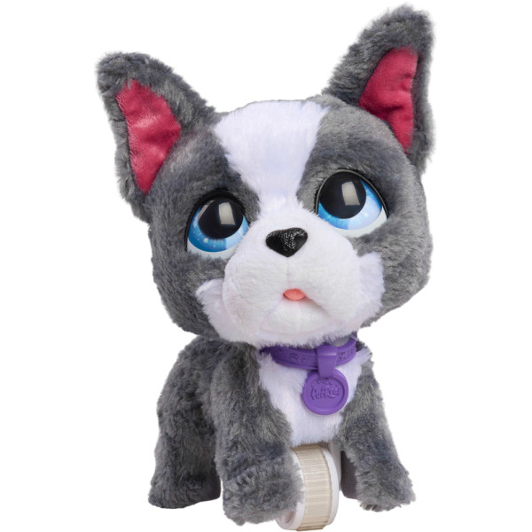 Фото - Интерактивная игрушка Furreal Walk-a-Lots – ФРАНЦУЗСКИЙ БУЛЬДОГ (28161)