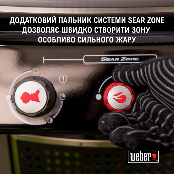 Фото - Гриль газовый Weber Spirit Classic E-330 GBS (1500160)