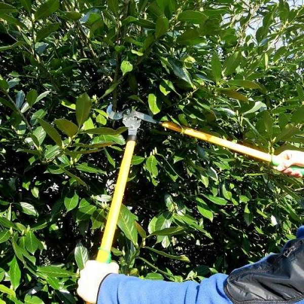 Фото - Ножницы садовые Gruntek 295201765