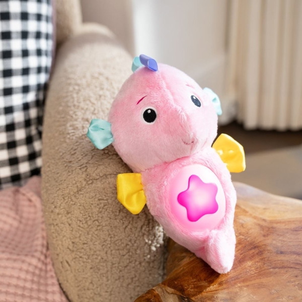 Фото - Интерактивная игрушка Baby Einstein Sea Dreams Seahorse (17400.13)