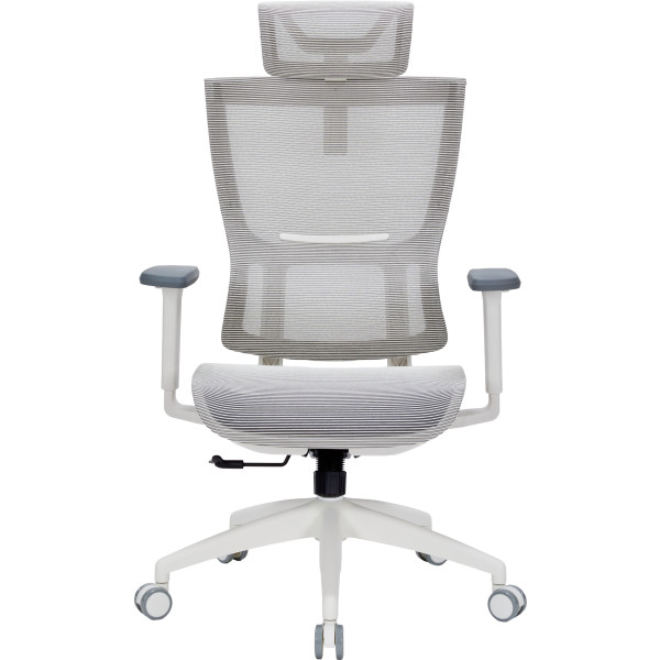 Фото - Кресло офисное OfficePro Elegant (OC660-W-DG-DG) White/Dark Gray