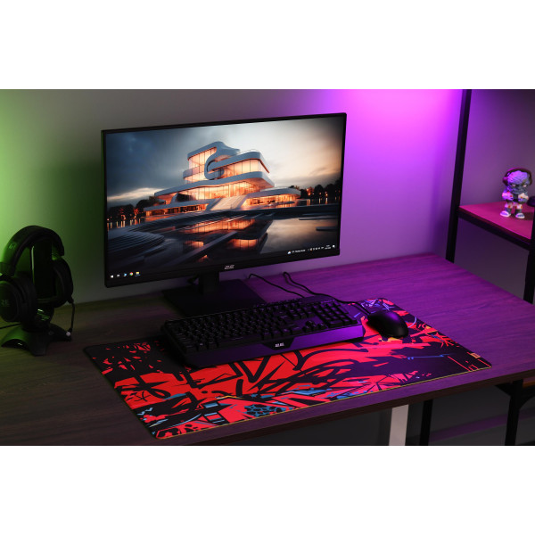 Фото - Коврик для мыши игровой 2E GAMING PRO Speed D06 XL (2E-SPEED-XL-D06-PRO)