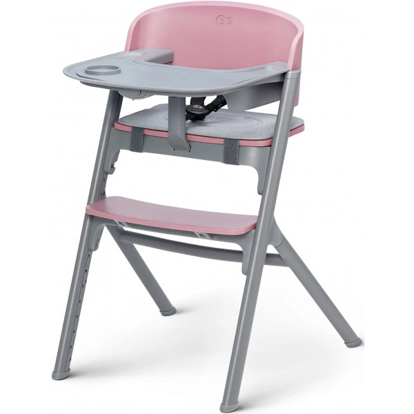 Фото - Стульчик для кормления классический Kinderkraft Livy Aster Pink (KHLIVY00PNK0000)