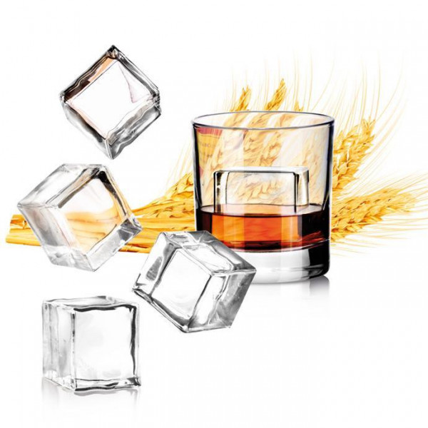 Фото - Форма для льда tescoma 308904 myDRINK