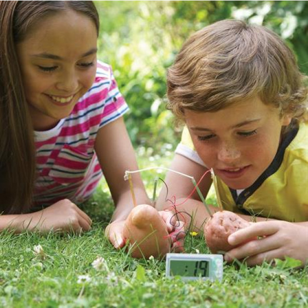 Фото - Набор для исследования 4М Картофельные часы (00-03275)