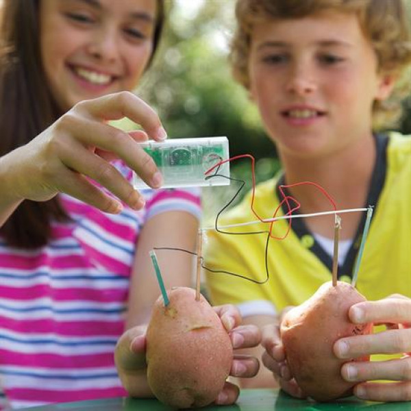 Фото - Набор для исследования 4М Картофельные часы (00-03275)