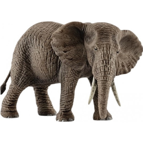 Фото - Фигурка животного Schleich Африканская слониха (14761)
