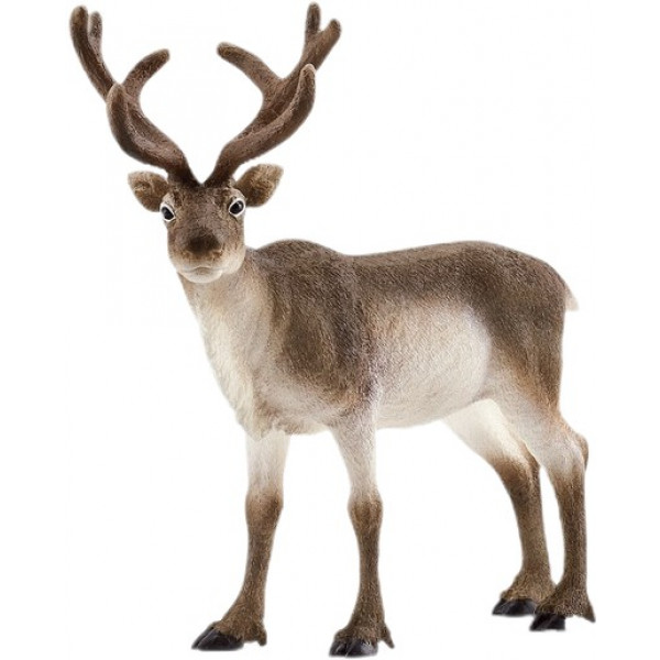 Фото - Фигурка животного Schleich Северный олень (14837)