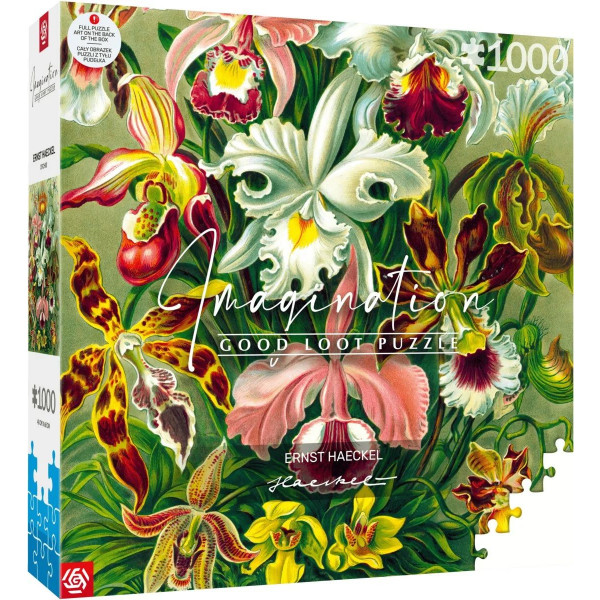 Фото - Пазлы (8+) Good Loot Imagination: Orchid Ernst Haeckel 1000 эл. (5908305247531) Фото - Пазлы (8+) Good Loot Imagination: Orchid Ernst Haeckel 1000 эл. (5908305247531)