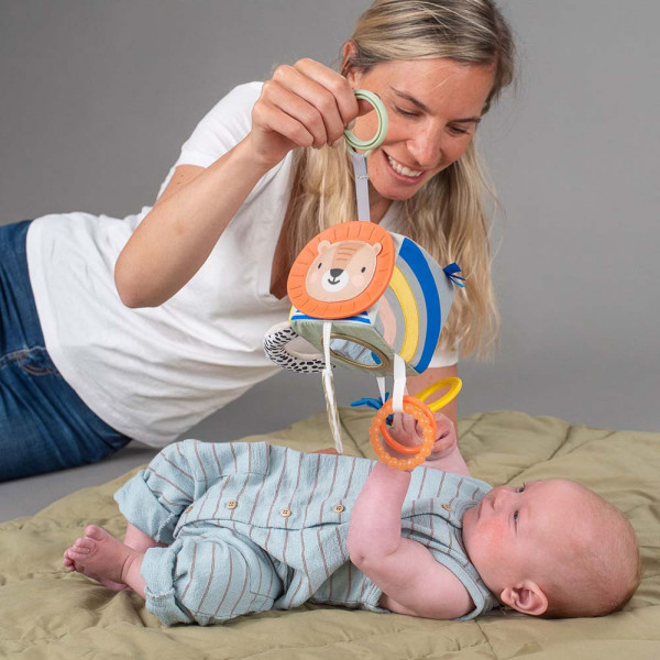 Фото - Подвеска Taf Toys Развивающая игрушка-кубик коллекции "Саванна" - ВЕСЕЛЫЕ ЗВЕРУШКИ (12755)