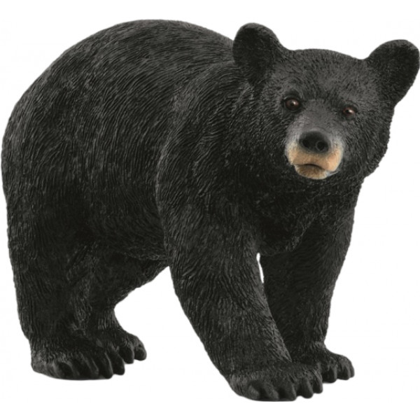 Фото - Коллекционная фигурка Schleich Американский черный медведь (14869)