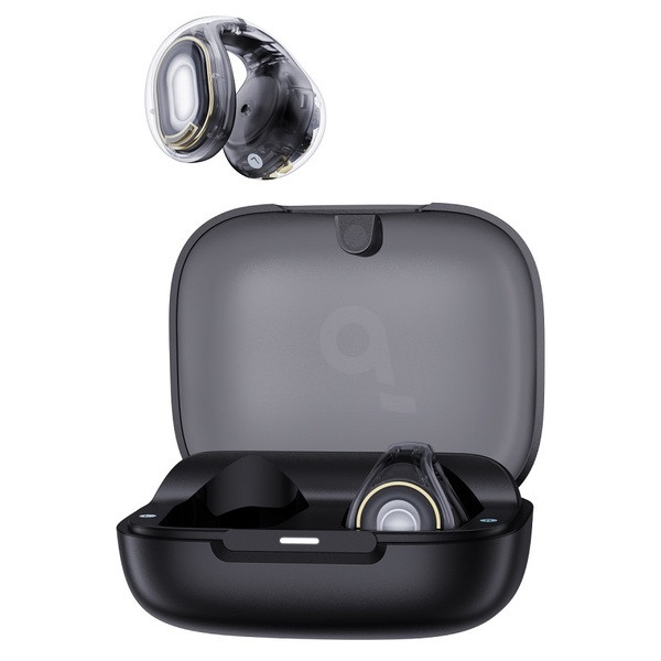 Фото - Наушники вкладыши беспроводные TWS Anker SoundСore C30i Black (A3330G11)