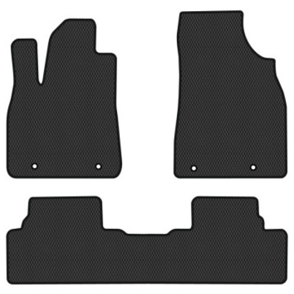 Фото - EVA коврики в салон авто EVAtech для RX 350 (AL10) Lexus 2009-2015 3 поколение SUV USA LS22127ZV3TL4RBB