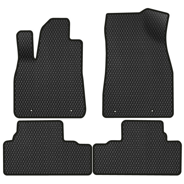 Фото - EVA коврики в салон авто EVAtech для RX 450h (AL10) Lexus 2009-2015 3 поколение SUV USA LS23935PC4LA4RBB