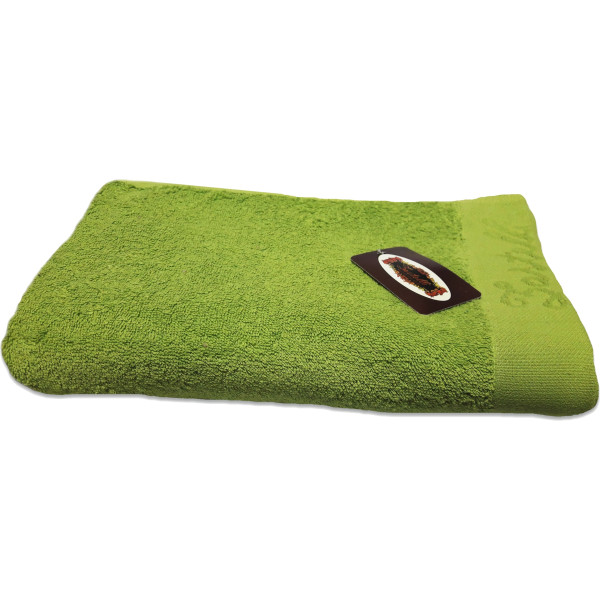 Фото - Полотенце банное Zastelli Border зеленый 70x140 см (10273-000916)