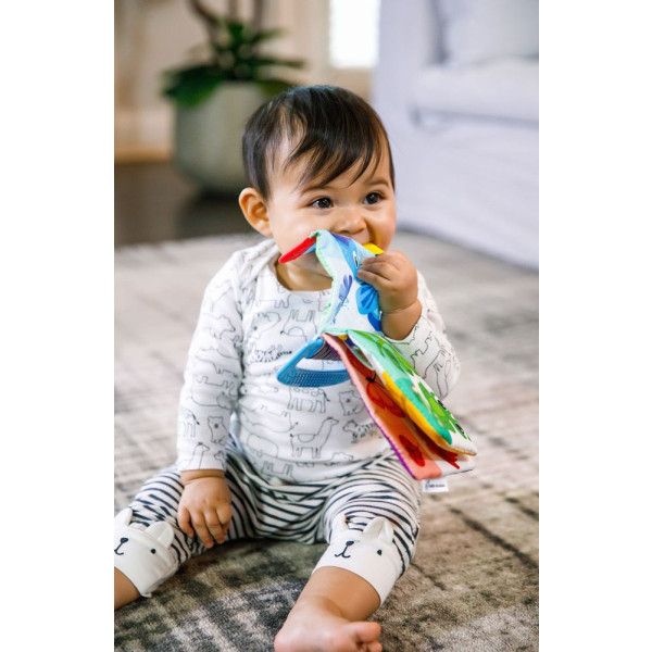 Фото - Книжка-игрушка Baby Einstein Teather Book (11794)