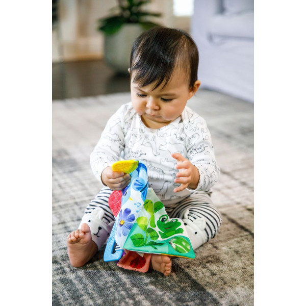 Фото - Книжка-игрушка Baby Einstein Teather Book (11794)