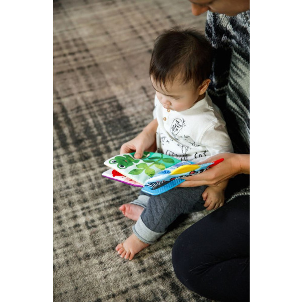 Фото - Книжка-игрушка Baby Einstein Teather Book (11794)