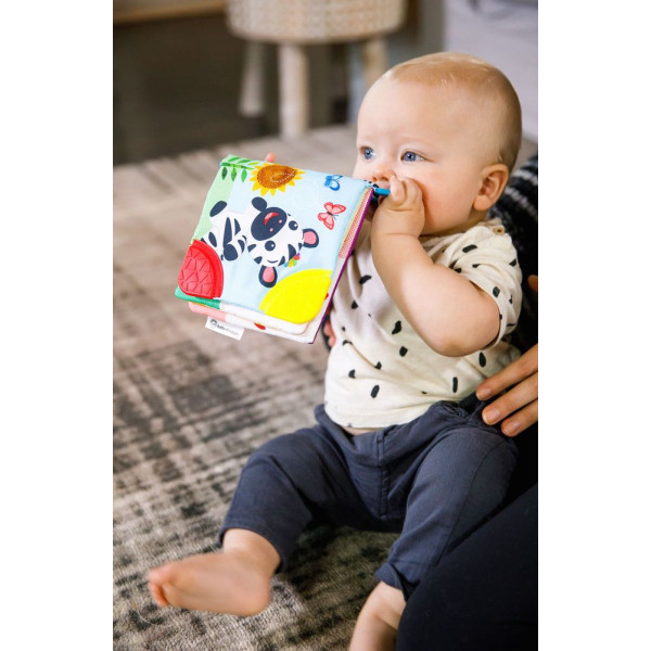 Фото - Книжка-игрушка Baby Einstein Teather Book (11794)