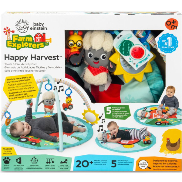 Фото - Развивающий коврик Baby Einstein Happy Harvest (17326)