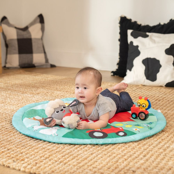 Фото - Развивающий коврик Baby Einstein Happy Harvest (17326)
