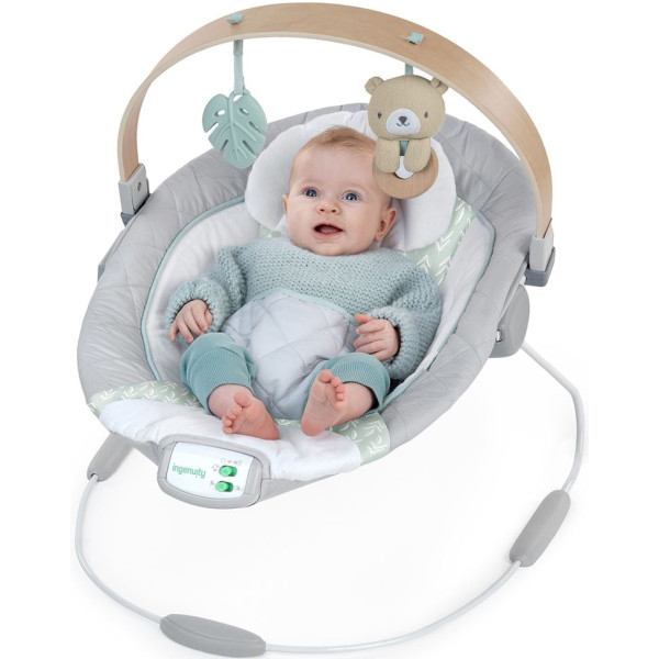 Фото - Кресло-шезлонг Ingenuity Cozy Spot (13104)