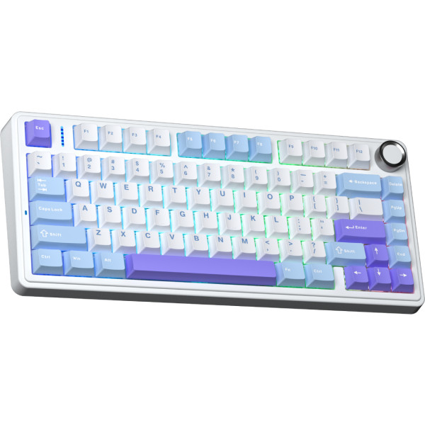 Фото - Клавиатура беспроводная игровая Aula F75 Gasket Reaper Purple (6978080501479)