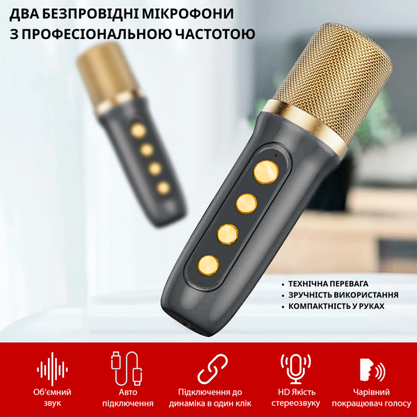 Фото - Портативная акустика INSPIRE YS-213 Black с 2 микрофонами