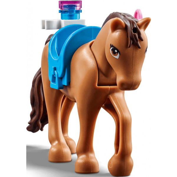 Фото - Конструктор LEGO Friends Ветеринарная клиника в Хартлейк-Сити (41446)