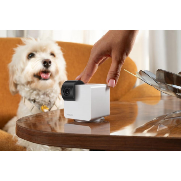 Фото - Интерактивные игрушки для животных PetCube Cam 360 (P36010US)