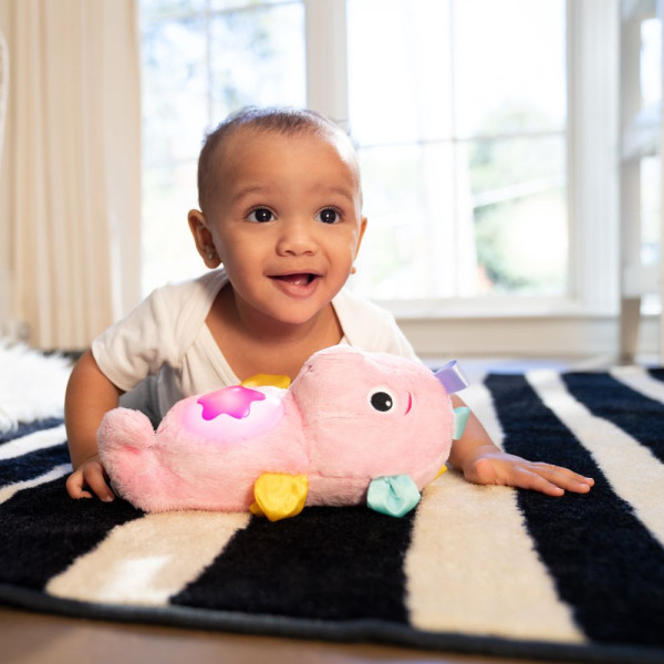 Фото - Интерактивная игрушка Baby Einstein Sea Dreams Seahorse (17400.13)