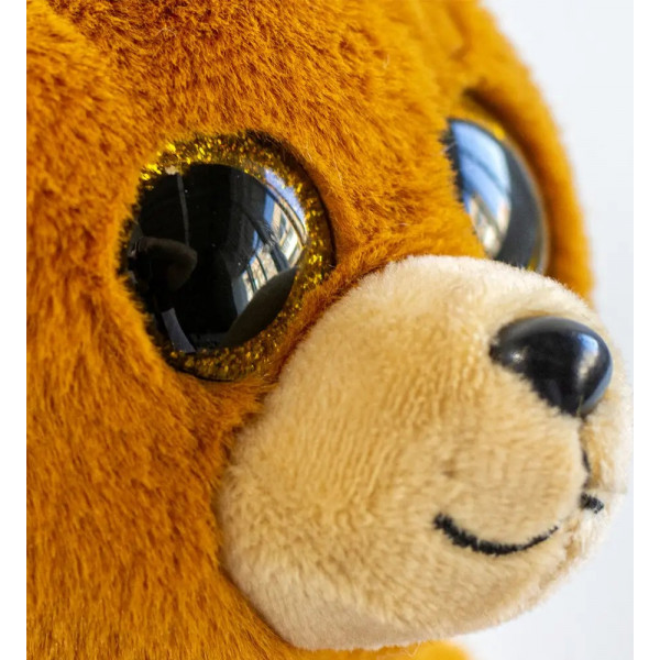 Фото - Мягкая игрушка глазастик TY BEANIE BELLIES Медвежонок "DUNCAN" (40549)