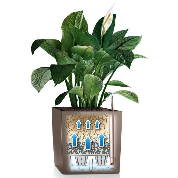 Фото - Вазон Lechuza CUBE 50/50/50 Premium Белый 16560