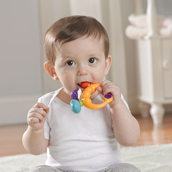 Фото - Погремушка Toy State Лес (90002)