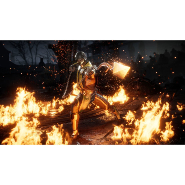 Фото - Игровой картридж Nintendo Mortal Kombat 11 [Nintendo Switch]