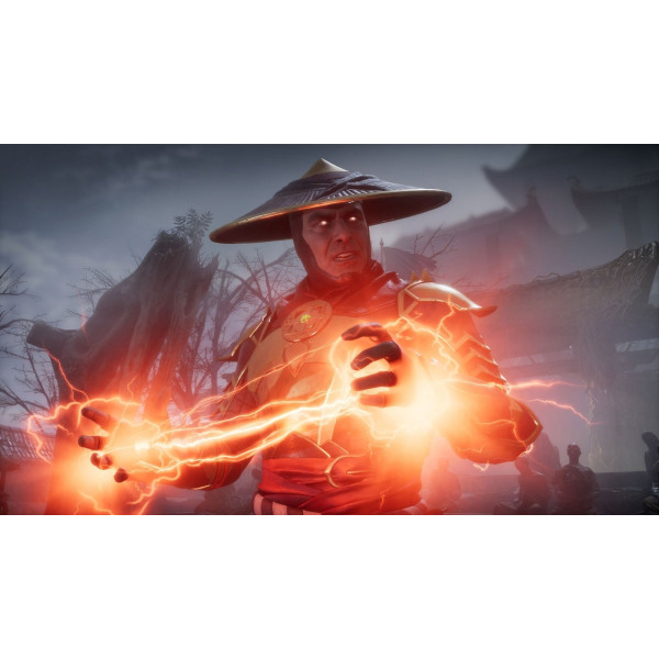 Фото - Игровой картридж Nintendo Mortal Kombat 11 [Nintendo Switch]