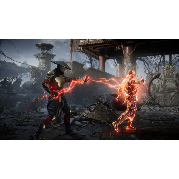 Фото - Игровой картридж Nintendo Mortal Kombat 11 [Nintendo Switch]