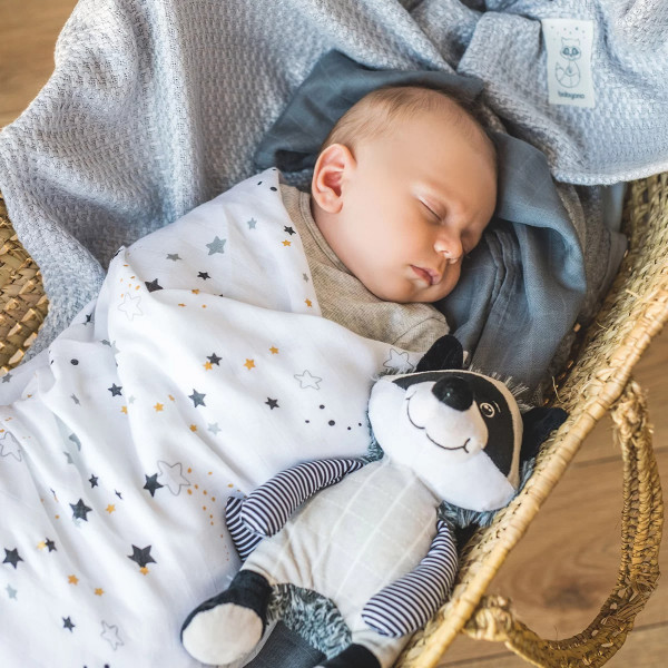 Фото - Плед детский демисезон BabyOno Енот, серый 75 см x100 см (479/04)