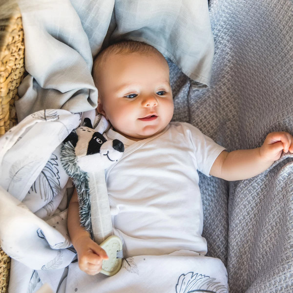Фото - Плед детский демисезон BabyOno Енот, серый 75 см x100 см (479/04)