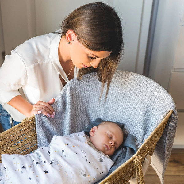 Фото - Плед детский демисезон BabyOno Енот, серый 75 см x100 см (479/04)