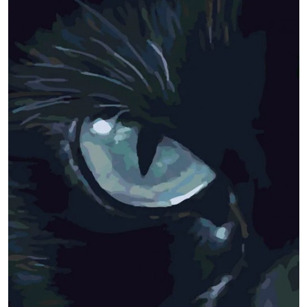 Фото - Картина по номерам Strateg Холодный взгляд 40х50 см (SY6333)