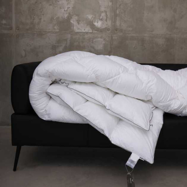 Фото - Одеяло зимнее двуспальное MirSon Raffaello 053 172x205 см (2200000003645)